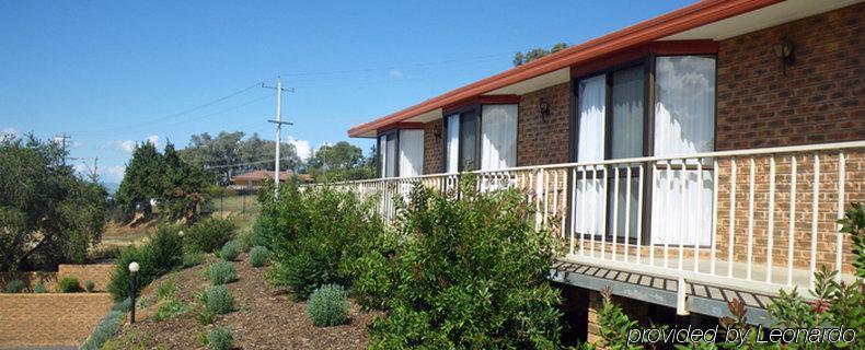 Hume Country Motor Inn Albury Extérieur photo